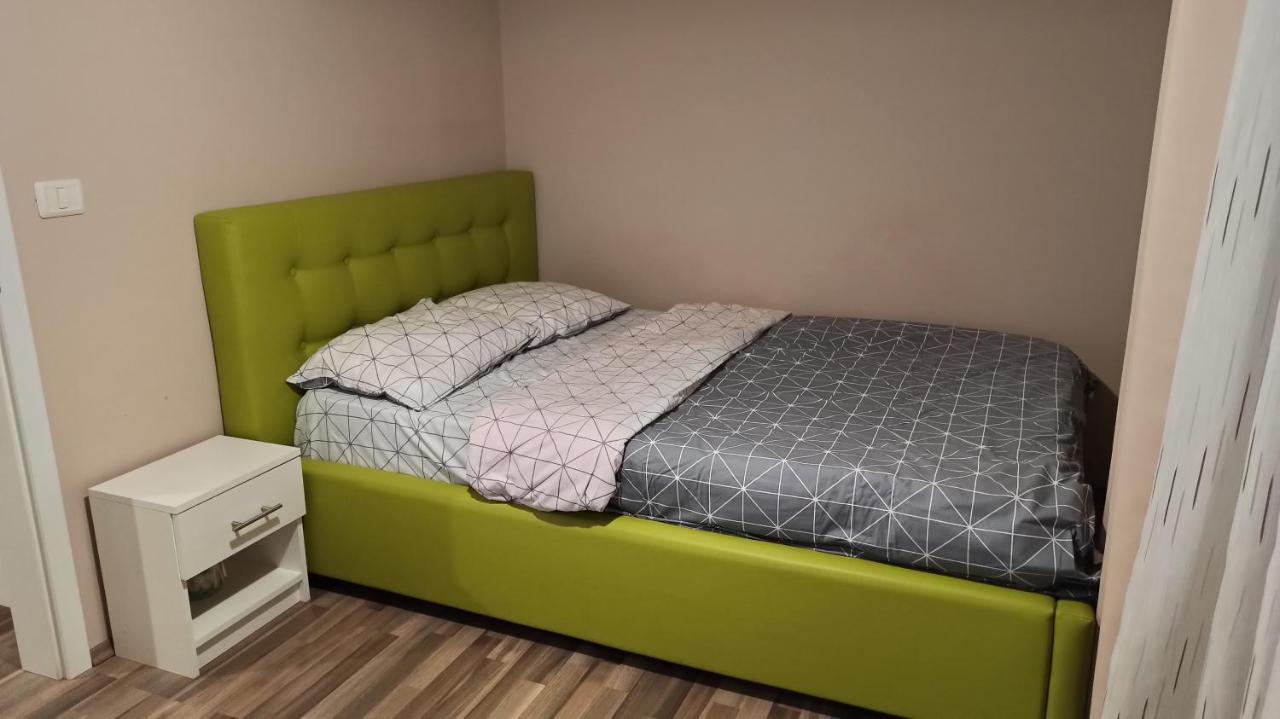 Cozy Home Bujorilor ティミショアラ エクステリア 写真