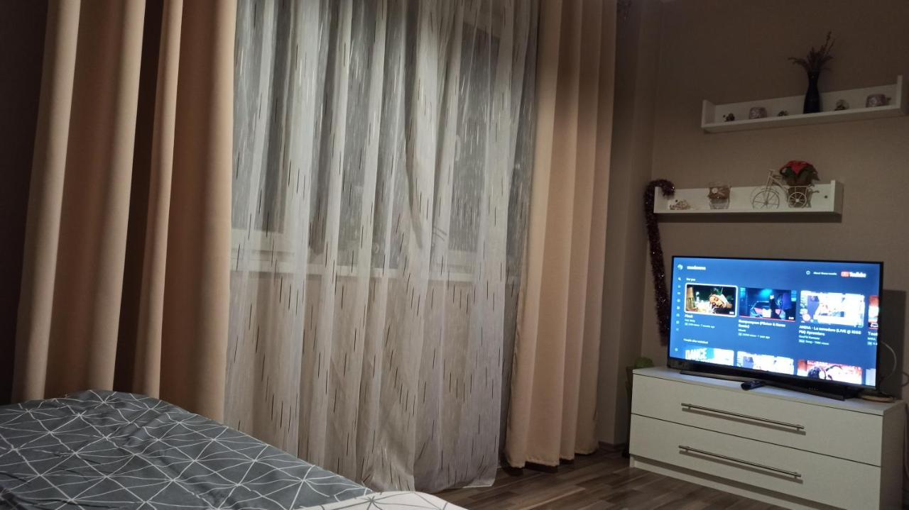 Cozy Home Bujorilor ティミショアラ エクステリア 写真
