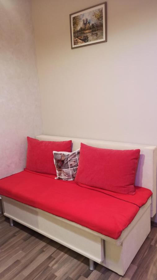 Cozy Home Bujorilor ティミショアラ エクステリア 写真