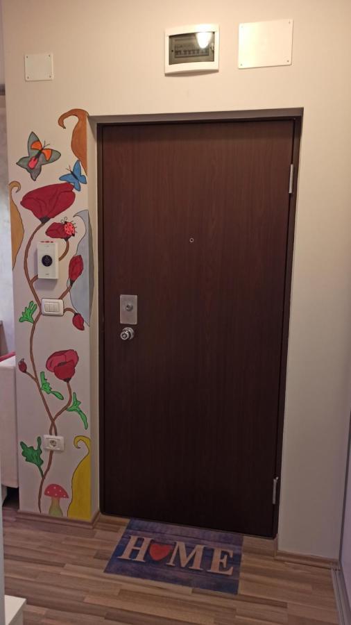 Cozy Home Bujorilor ティミショアラ エクステリア 写真